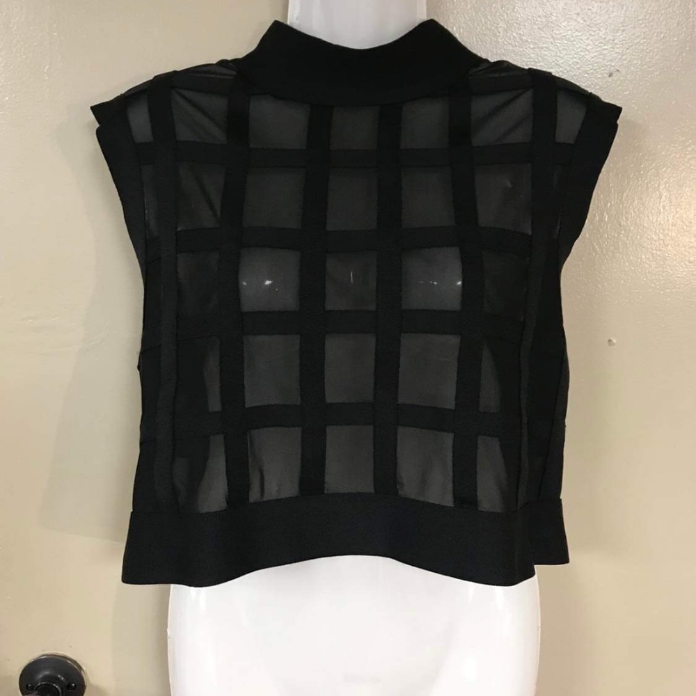 Ft inc sheer black blouse size 2X. Marked 2x but fits like cropped 1x.